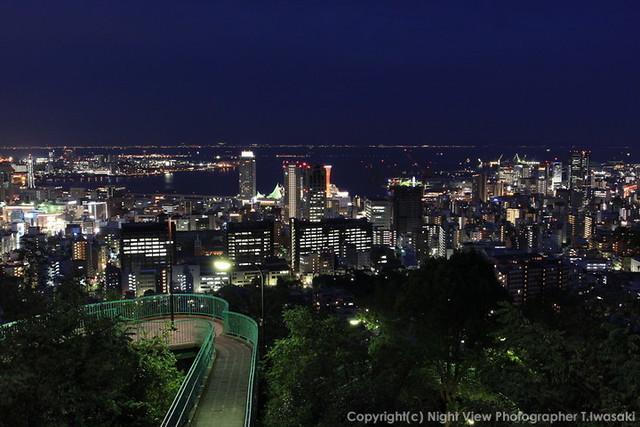 รูปภาพ:http://photo.nightview.jp/yakei/28-hyogo/venus_bridge/1_large.jpg