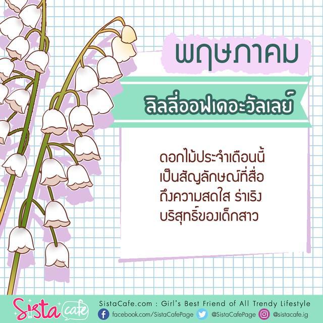 รูปภาพ: