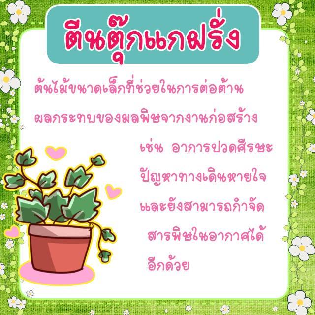 รูปภาพ: