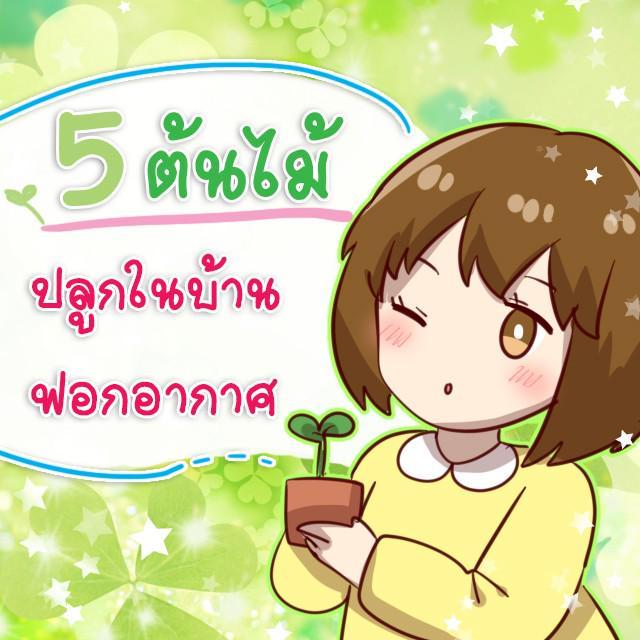 ตัวอย่าง ภาพหน้าปก:5 ต้นไม้ที่ปลูกในบ้าน ช่วย 'ฟอกอากาศ' ให้คลีน