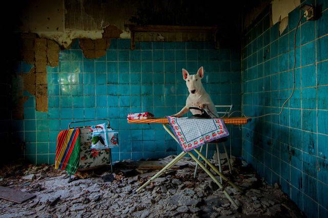 รูปภาพ:http://static.boredpanda.com/blog/wp-content/uploads/2015/12/me-and-my-dog-explore-abandoned-places-across-europe__880.jpg