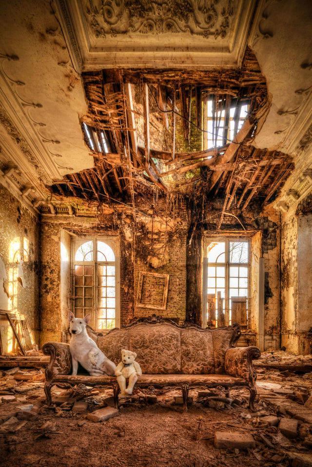 รูปภาพ:http://static.boredpanda.com/blog/wp-content/uploads/2015/12/me-and-my-dog-explore-abandoned-places-across-europe-15__880.jpg
