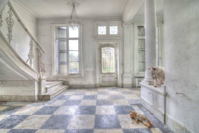 รูปภาพ:http://static.boredpanda.com/blog/wp-content/uploads/2015/12/me-and-my-dog-explore-abandoned-places-across-europe-13__880.jpg