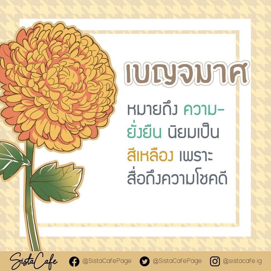 รูปภาพ: