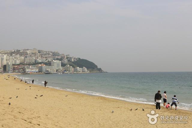 รูปภาพ:http://tong.visitkorea.or.kr/cms/resource/10/634710_image2_1.jpg