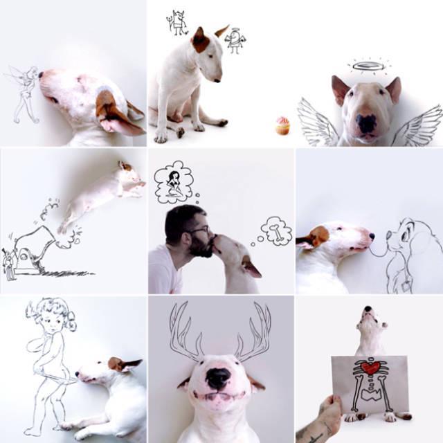 ตัวอย่าง ภาพหน้าปก:Jimmy Choo สุนัขของศิลปิน Rafael Mantesso สร้างผลงานศิลปะ