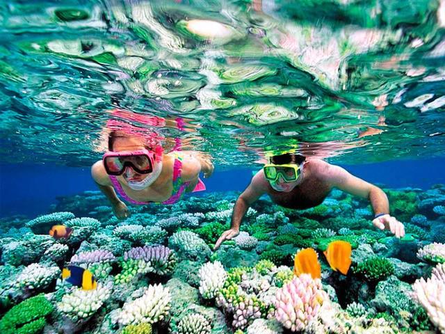 รูปภาพ:http://www.meannon.com/wp-content/uploads/2017/08/snorkel-in-cancun.jpg