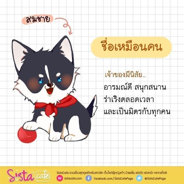 รูปภาพ: