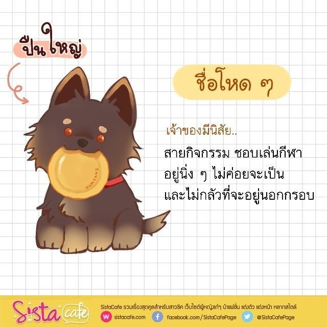 รูปภาพ: