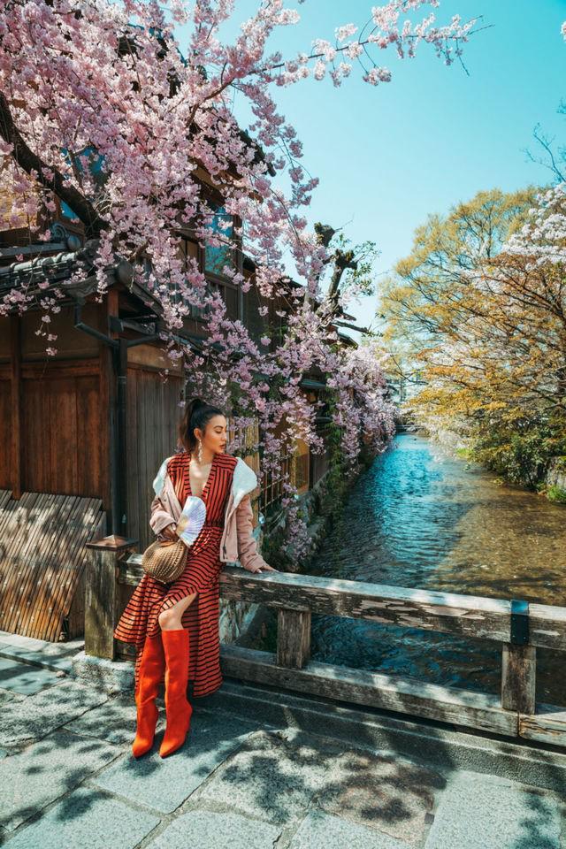 รูปภาพ:https://www.notjessfashion.com/wp-content/uploads/2018/05/Cherry_Blossom_Sakura_Japan_2018-012-450x675@2x.jpg