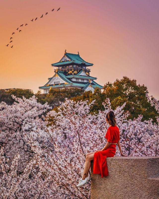 รูปภาพ:https://www.notjessfashion.com/wp-content/uploads/2018/05/Cherry_Blossom_Sakura_Japan_2018-013-450x563@2x.jpg