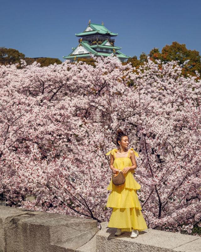 รูปภาพ:https://www.notjessfashion.com/wp-content/uploads/2018/05/Cherry_Blossom_Sakura_Japan_2018-010-450x563@2x.jpg