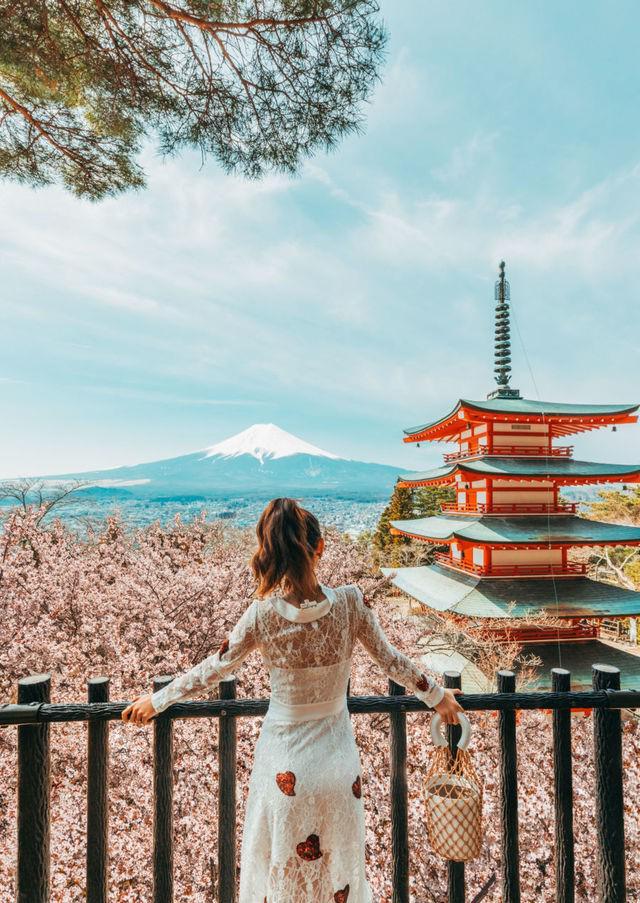รูปภาพ:https://www.notjessfashion.com/wp-content/uploads/2018/05/Cherry_Blossom_Sakura_Japan_2018-001-450x635@2x.jpg