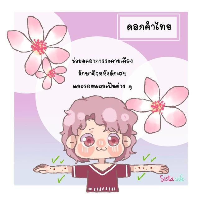 รูปภาพ: