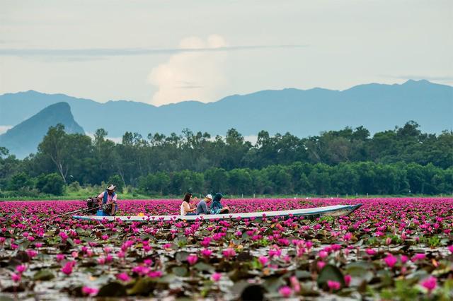 รูปภาพ:http://www.amazingthaitour.com/wp-content/uploads/2018/05/lrlntln2018.jpg