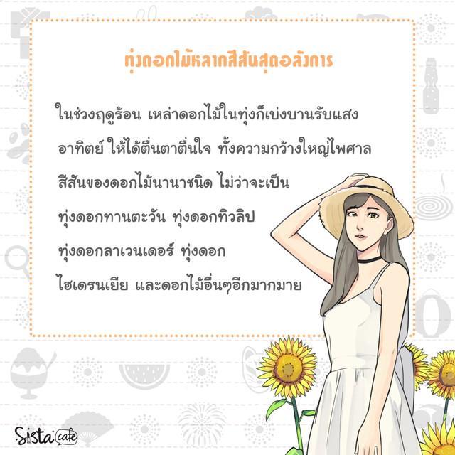 รูปภาพ: