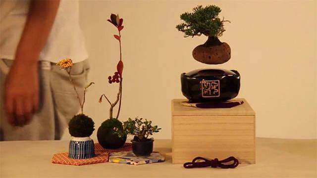 รูปภาพ:http://static.boredpanda.com/blog/wp-content/uploads/2016/01/floating-bonsai-trees-air-hoshinchu-66.jpg