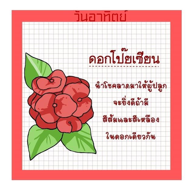 รูปภาพ: