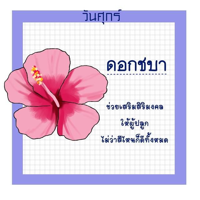 รูปภาพ: