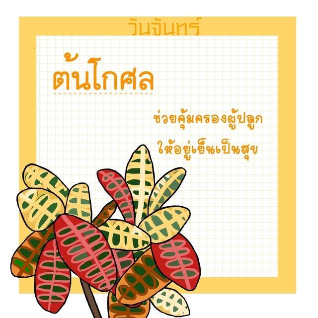 รูปภาพ: