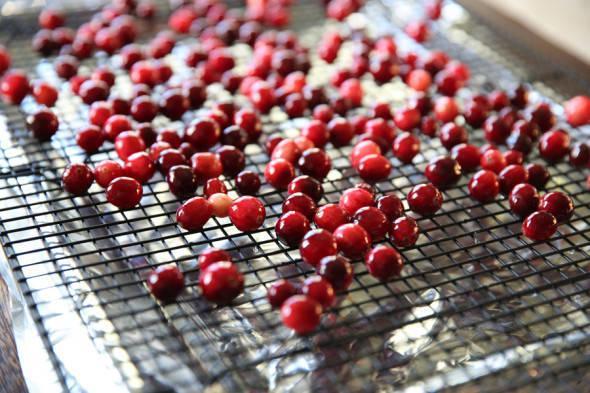 รูปภาพ:http://ourbestbites.com/wp-content/uploads/2014/11/Our-Best-Bites-Cranberries-Drying-590x393.jpg