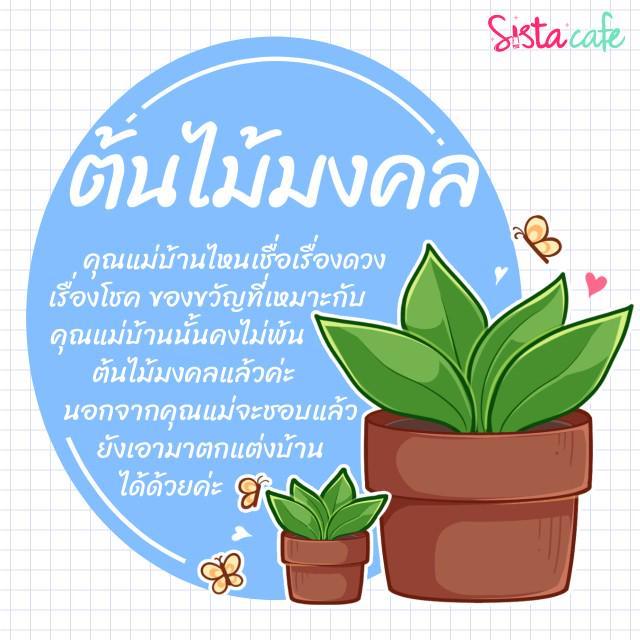 รูปภาพ: