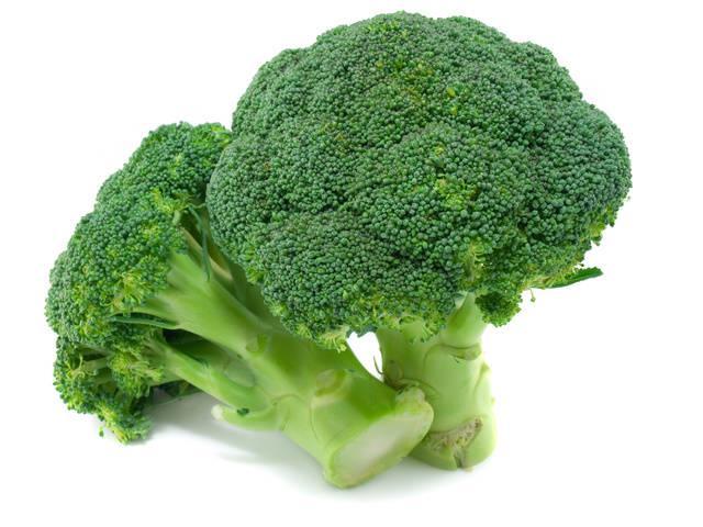 รูปภาพ:http://sekapporchard.com/wp-content/uploads/2013/09/Broccoli.jpg