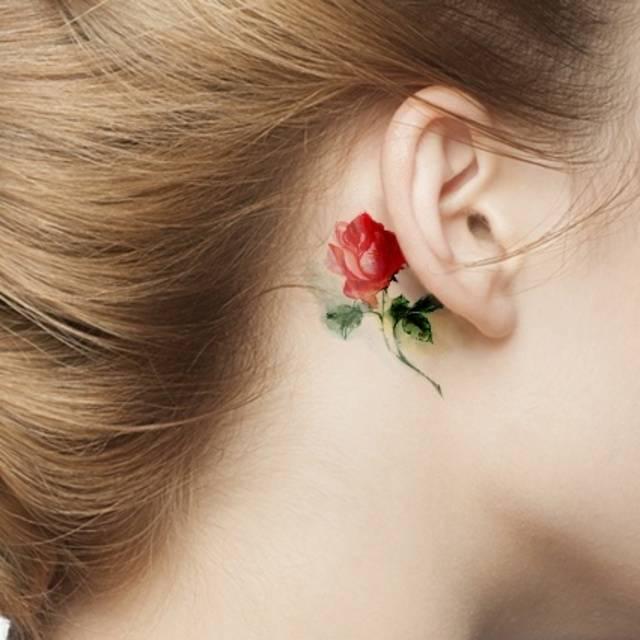 รูปภาพ:http://cache.gmo2.sistacafe.com/images/uploads/summary/image/7074/1455299330-watercolor-rose-tattoo-behind-ear.jpg