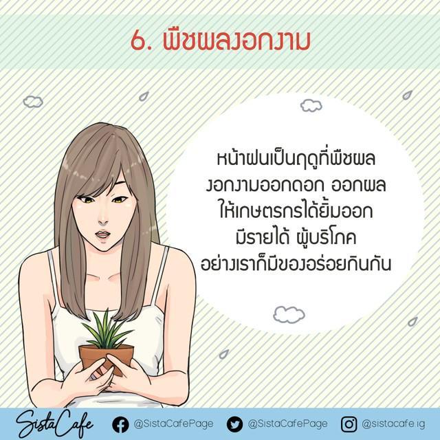 รูปภาพ: