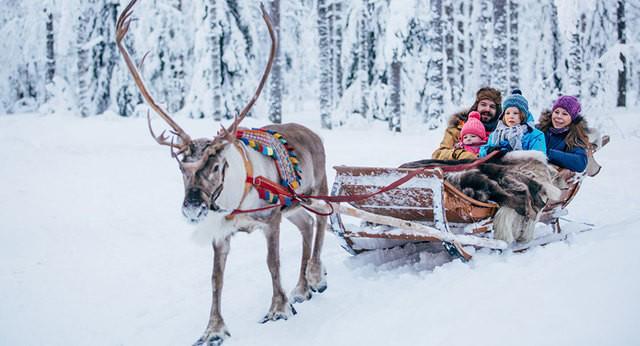 รูปภาพ:https://www.visitrovaniemi.fi/wp-content/uploads/visit-rovaniemi-getting-here-family-reindeer-grid-image-1110x600.jpg