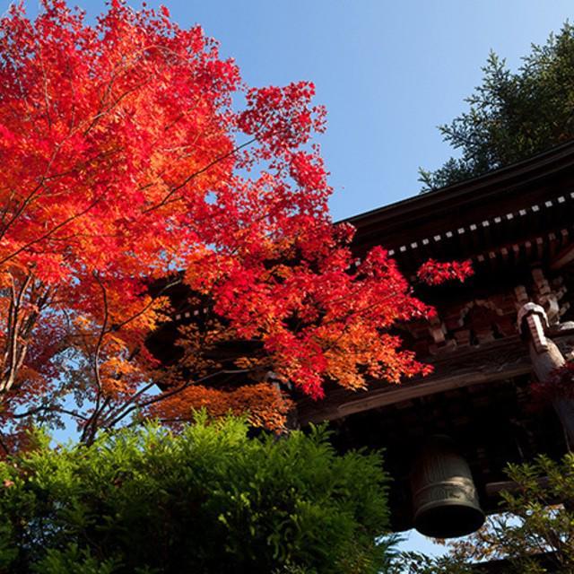 ตัวอย่าง ภาพหน้าปก:Autumn in Kansai 2018 ไปแล้วอยากไปอีกครั้งจัง (EP.3) ตอนจบจ้า!!