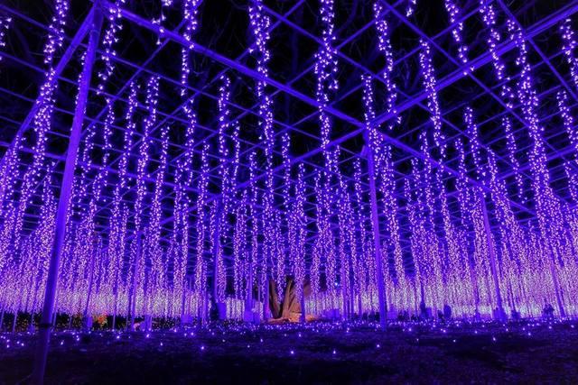 รูปภาพ:https://www.jnto.go.jp/ph/spot-activity/wp-content/uploads/sites/2/2019/01/Ashikaga-01.jpg