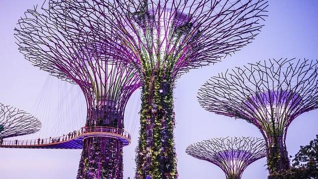 รูปภาพ:https://p1.pxfuel.com/preview/778/71/764/singapore-gardens-by-the-bay-supertrees-colorful.jpg