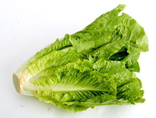 รูปภาพ:http://www.onlyfoods.net/wp-content/uploads/2013/06/Romaine-Lettuce-Photos.jpg