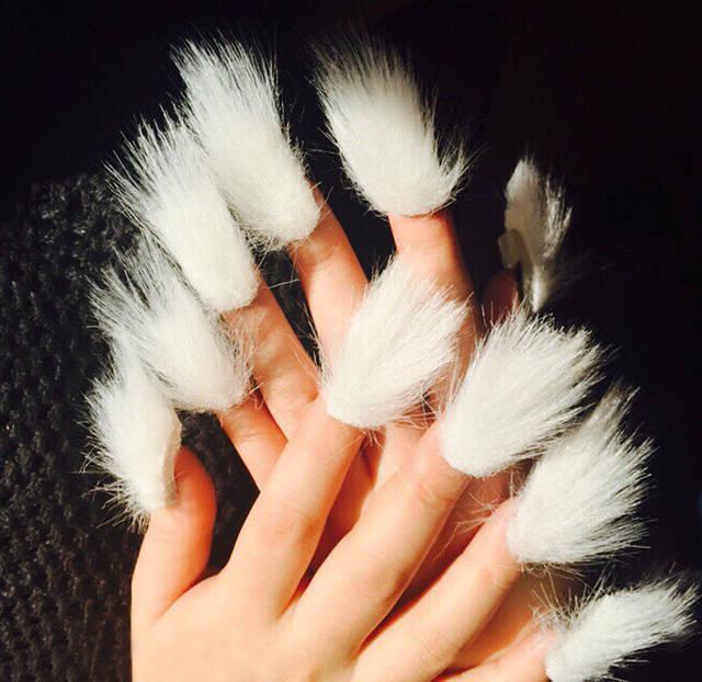 รูปภาพ:http://static.boredpanda.com/blog/wp-content/uploads/2016/02/fur-nails__700.jpg