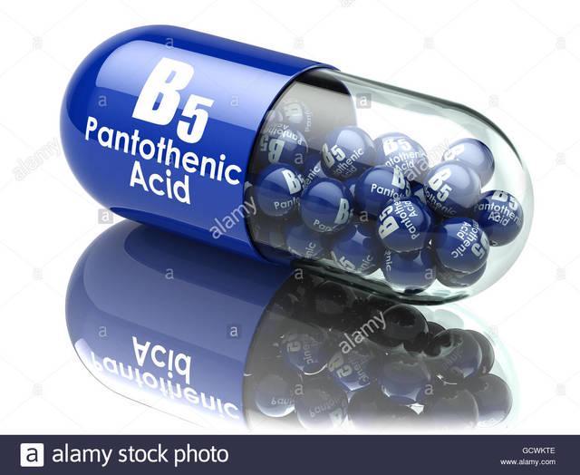 รูปภาพ:https://c8.alamy.com/comp/GCWKTE/vitamin-b5-capsule-pill-with-pantothenic-acid-dietary-supplements-GCWKTE.jpg