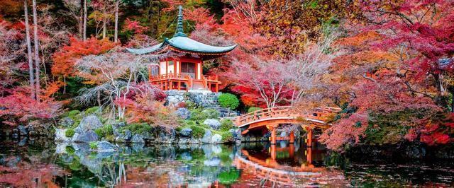 รูปภาพ:http://www.blamethemonkey.com/wp-content/uploads/2014/06/Elia-Locardi-Travel-Photograhy-The-Soul-of-Kyoto-Japan-1440-60q.jpg