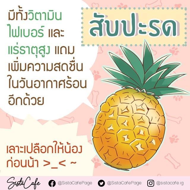 รูปภาพ: