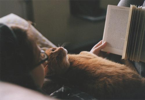 รูปภาพ:http://s1.favim.com/orig/22/book-cat-film-girl-read-Favim.com-211978.jpg