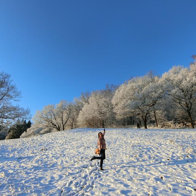 ตัวอย่าง ภาพหน้าปก:หนาวนี้ที่สวีเดน พาเที่ยวหน้าหนาวแถบยุโรป คนรักหิมะต้องฟิน