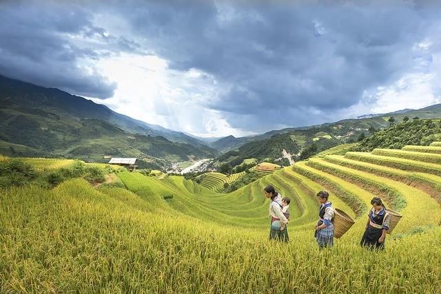 รูปภาพ:https://c1.wallpaperflare.com/preview/325/844/956/adult-adult-only-agriculture-asia.jpg