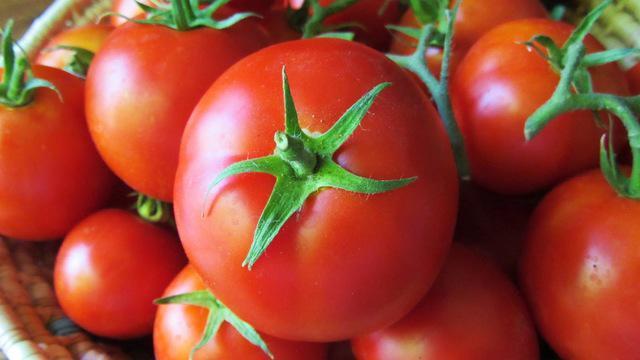รูปภาพ:http://www.foodproductiondaily.com/var/plain_site/storage/images/publications/food-beverage-nutrition/foodproductiondaily.com/innovations/packaging-made-from-tomato-waste/8593675-1-eng-GB/Packaging-made-from-tomato-waste.jpg