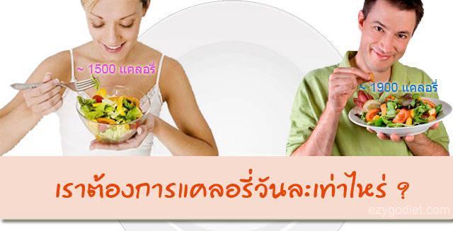 รูปภาพ:http://www.ezygodiet.com/wp-content/uploads/2013/10/calories-needs-per-day.jpg