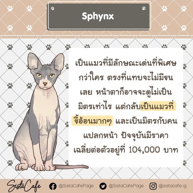 รูปภาพ: