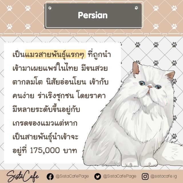 รูปภาพ: