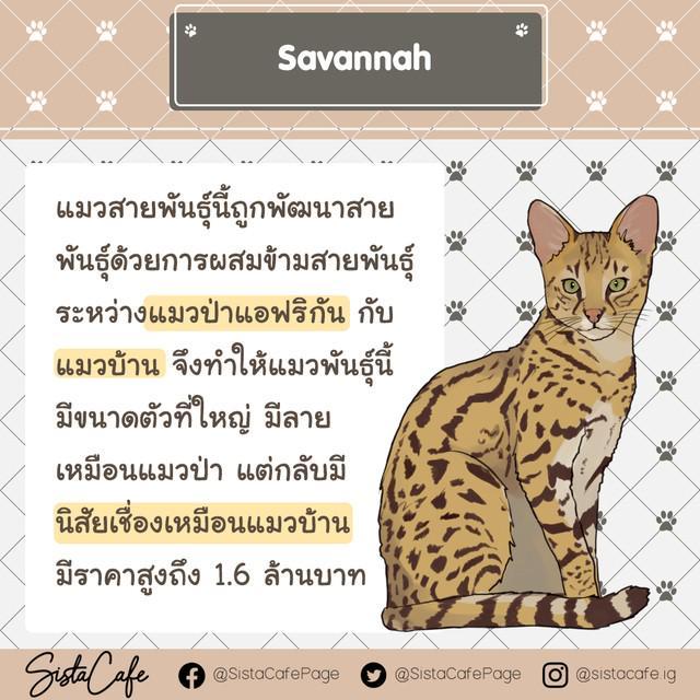 รูปภาพ: