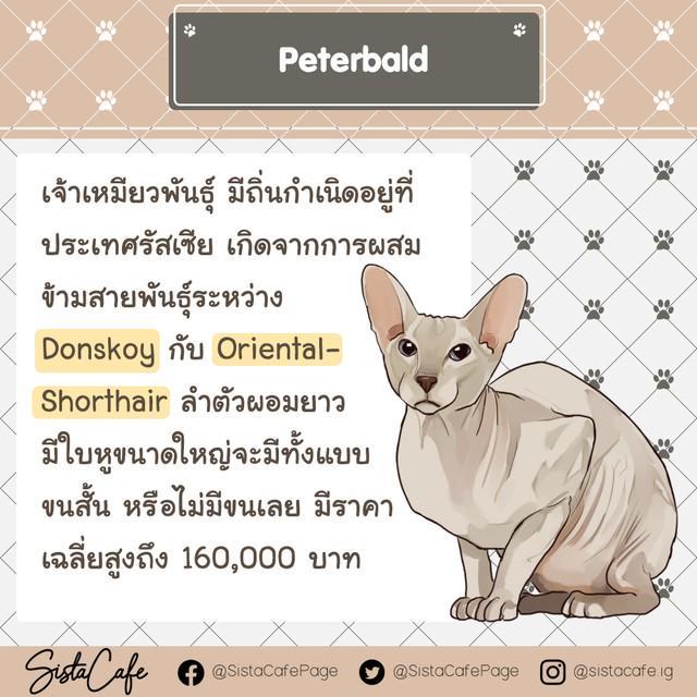 รูปภาพ: