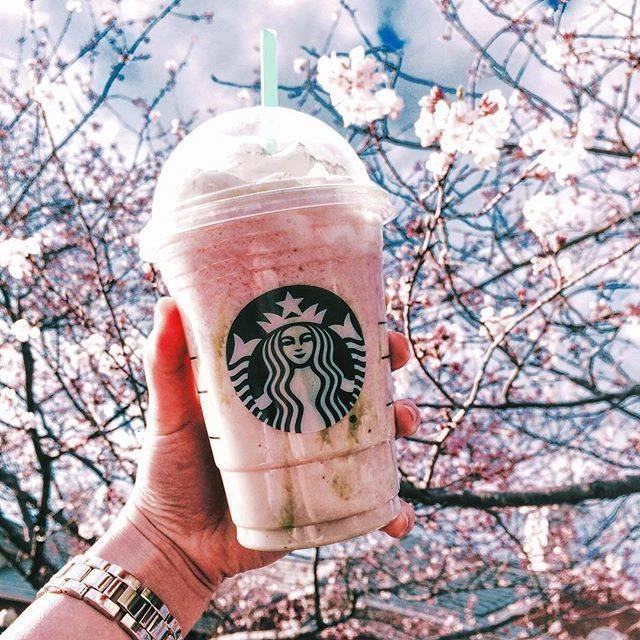 ตัวอย่าง ภาพหน้าปก:Starbucks ออกเมนูใหม่ Cherry Blossom Frappuccino