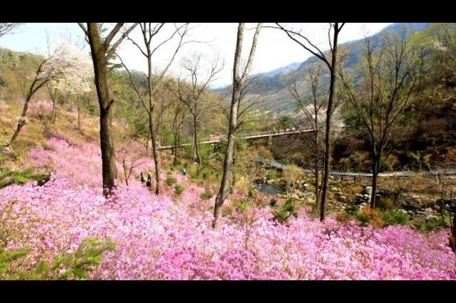 รูปภาพ:http://tong.visitkorea.or.kr/cms/resource/40/2436240_image2_1.jpg