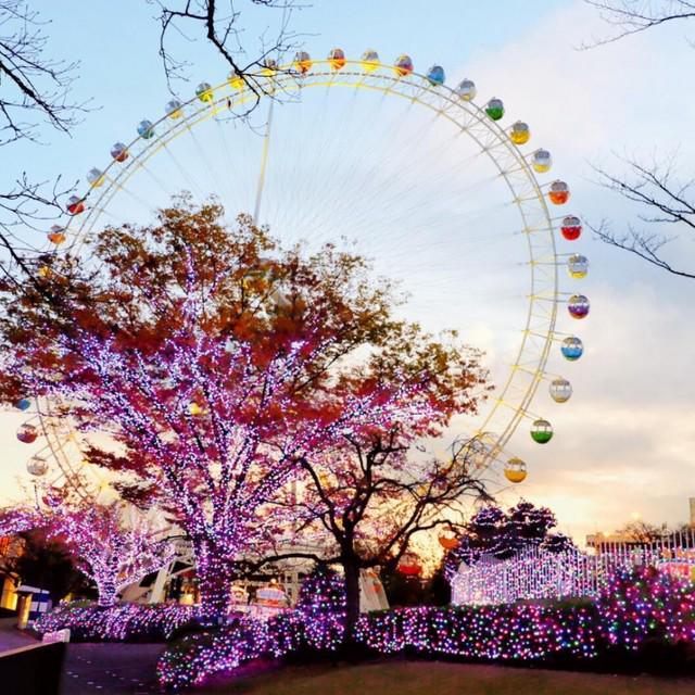 ตัวอย่าง ภาพหน้าปก:ช่วงเวลาแห่งความสุข และแสงไฟยามค่ำคืนสุดโรแมนติก ที่ Hana Biyori ในสวนสนุก Yomiuriland